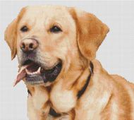 Yellow Lab Smile PDF