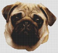 Sweet Pug PDF