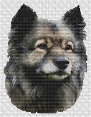 Keeshond PDF