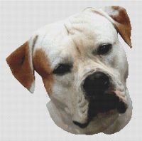 American Bulldog PDF