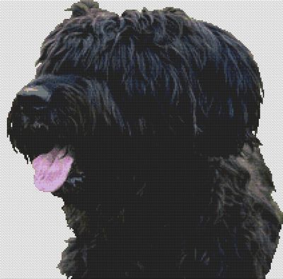 Black Briard PDF