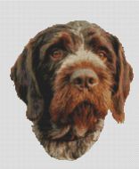 German Wirehaired Pointer PDF