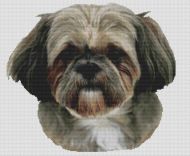 George- Shih Tzu PDF