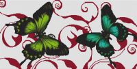 Butterflies PDF