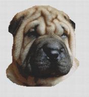 Fawn Shar Pei