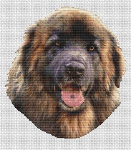 Leonberger