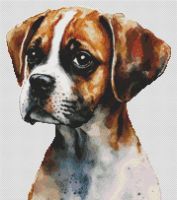 Watercolor Boxer