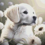 White Lab Puppy