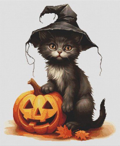 Halloween Cat