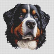 Bernese Mountain Dog 3