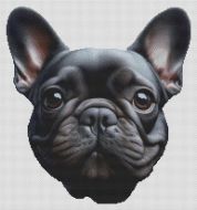 Black French Bulldog