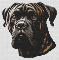 Brindle English Mastiff