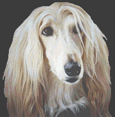 Afghan Hound II PDF