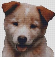 Red Australian Cattle Dog Puppy PDF