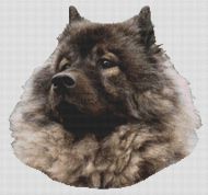 Keeshond