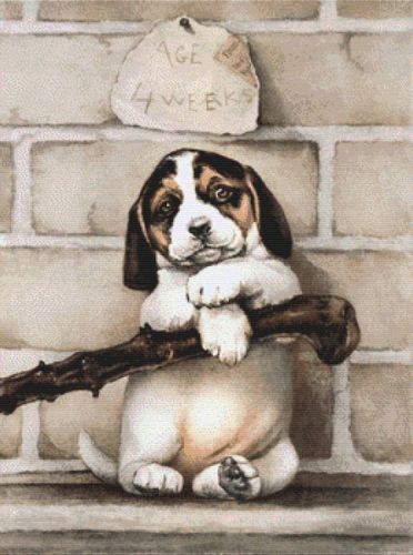 Vintage Beagle Puppy 