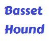 Basset Hound