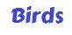 Birds PDF