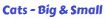 Cats Big and Small PDF
