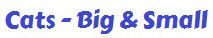 Cats Big and Small PDF