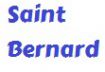 Saint Bernard